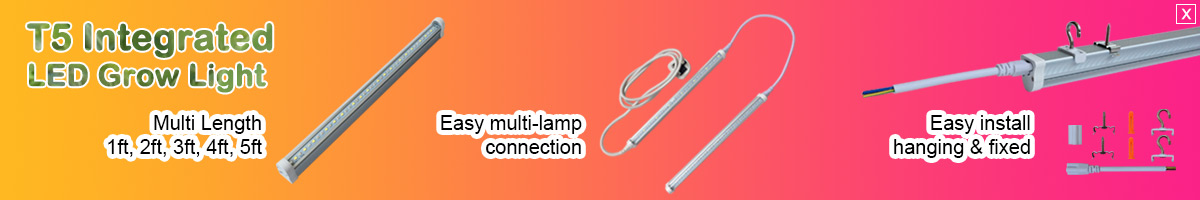 T5 LED Tube Grow Light