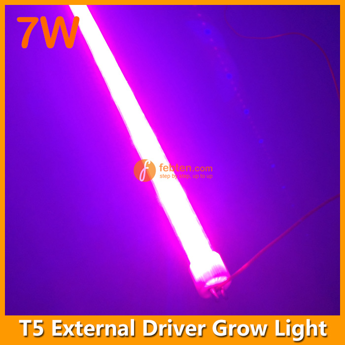 LED T5 Growth Light