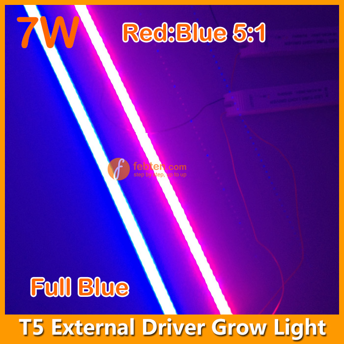 LED T5 Growth Lighting