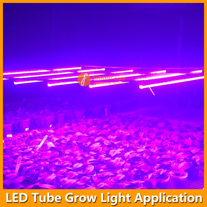 LED Tube grow Light application