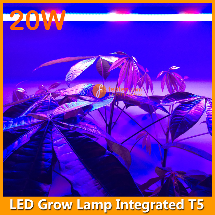 Integrated LED Grow Lamp