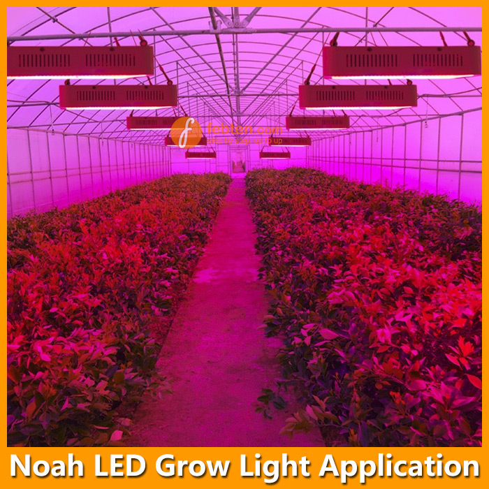 Noah 100W LED Growing Lamp Light