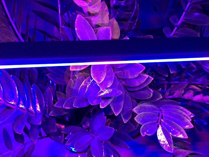 20W T5 Integrated LED Grow Light used for Plants Caring