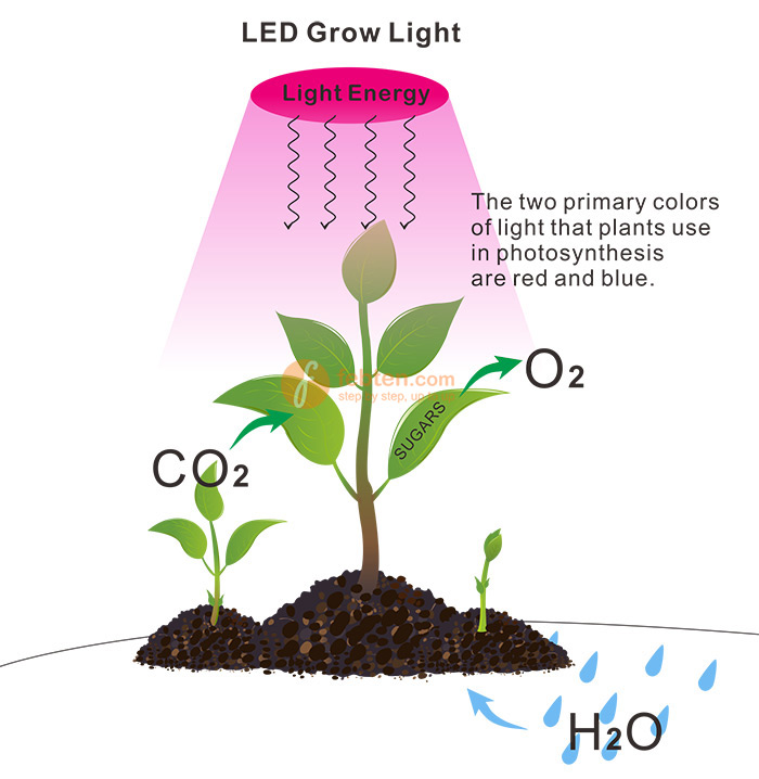 Linear LED Grow Light