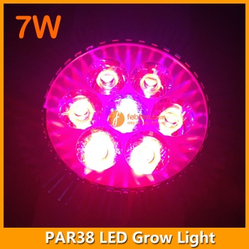 7W LED Grow Light PAR38