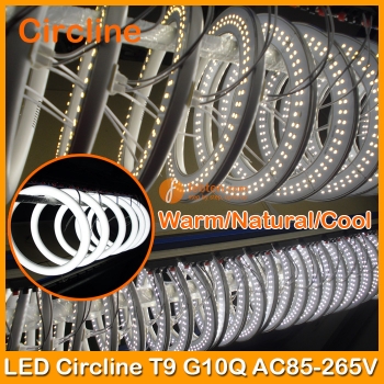 11W LED Circline Light 205mm T9 G10Q