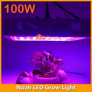 High Power Noah 100W LED Grow Light