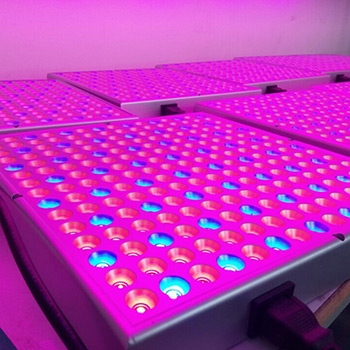 Panel LED Grow Light