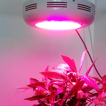 UFO LED Grow Light